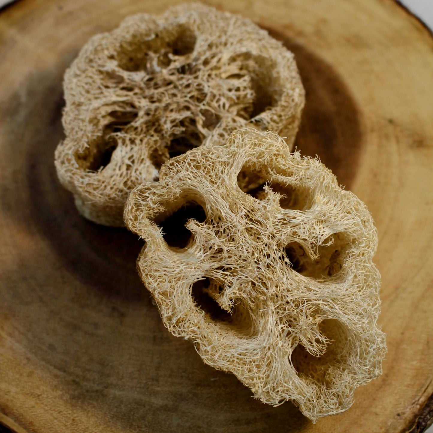 Confezione da 6 dolcetti croccanti da masticare Luffa