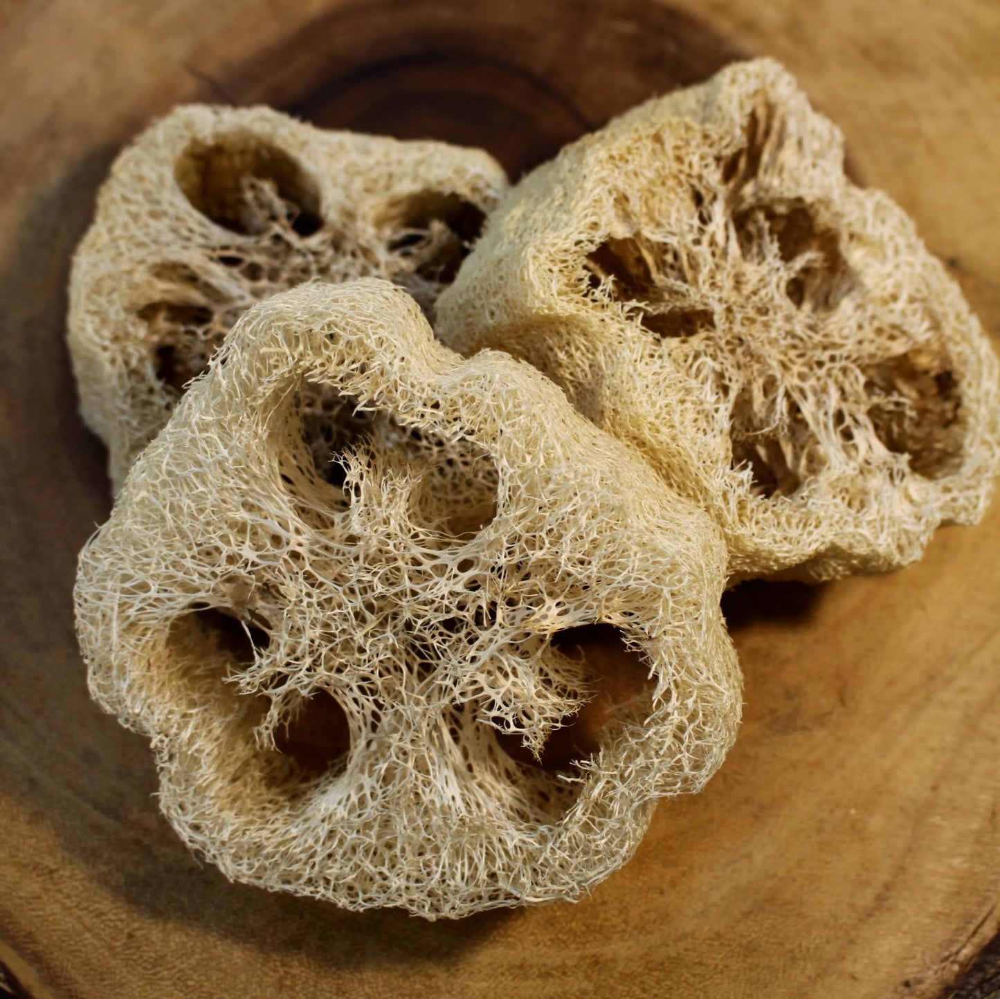 Confezione da 6 dolcetti croccanti da masticare Luffa