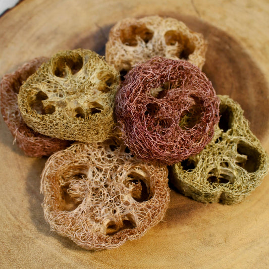 Confezione da 6 dolcetti croccanti da masticare Luffa