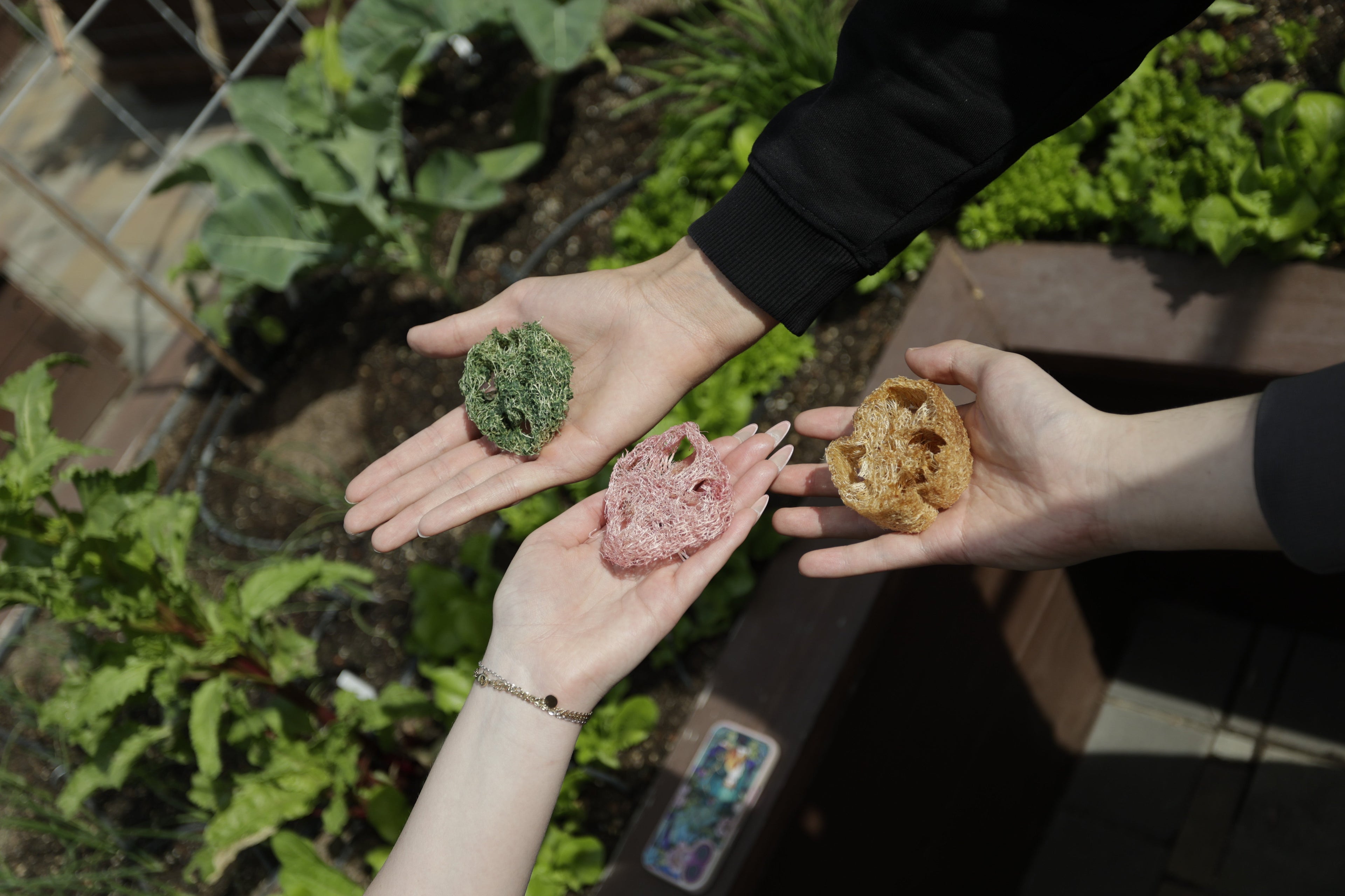 Are Synthetic Pet Toys Harming Your Rabbit or Guinea Pig’s Teeth?