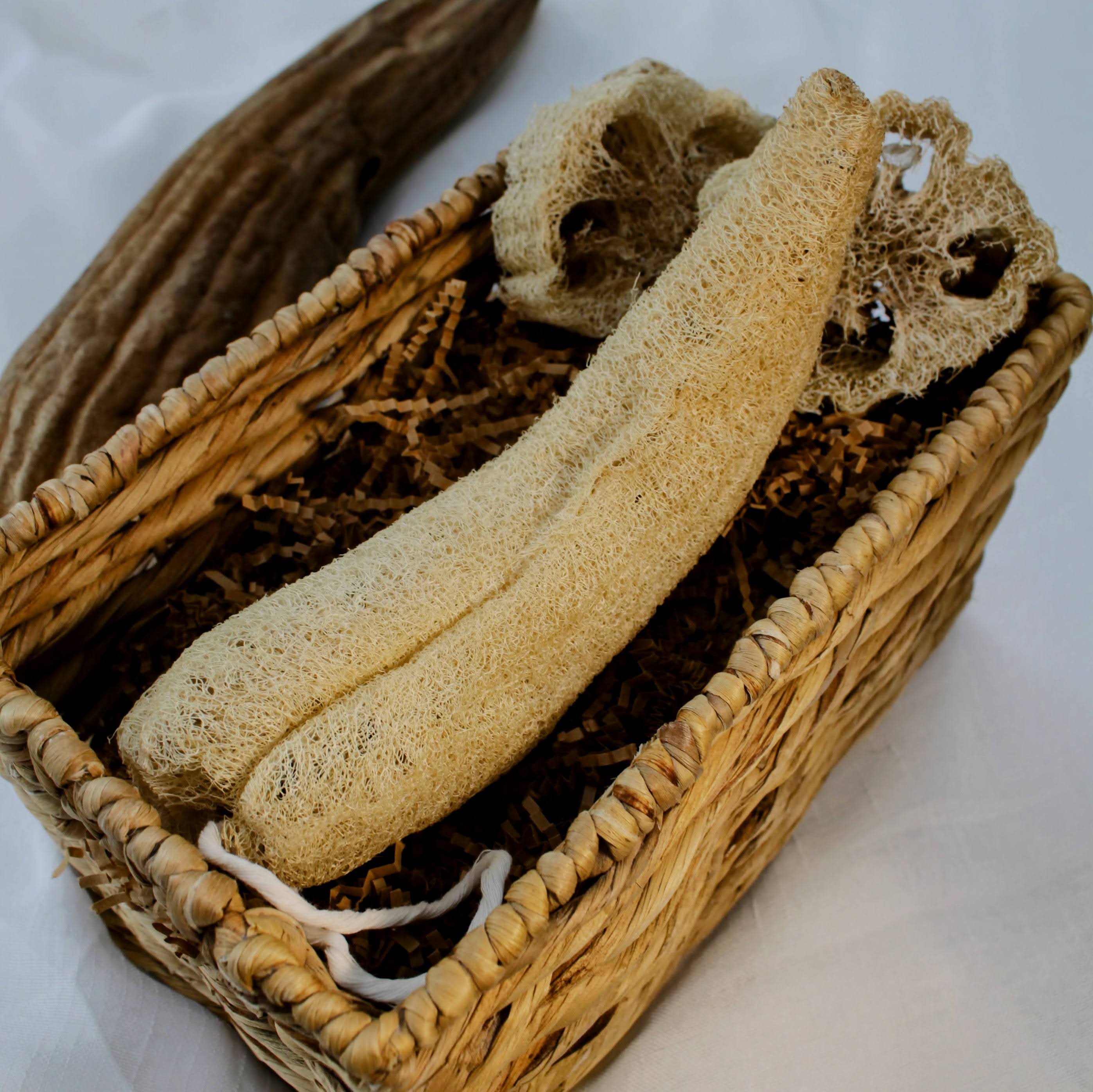 Sustainable and eco-friendly whole loofah (luffa) sponge exfoliator for selfcare