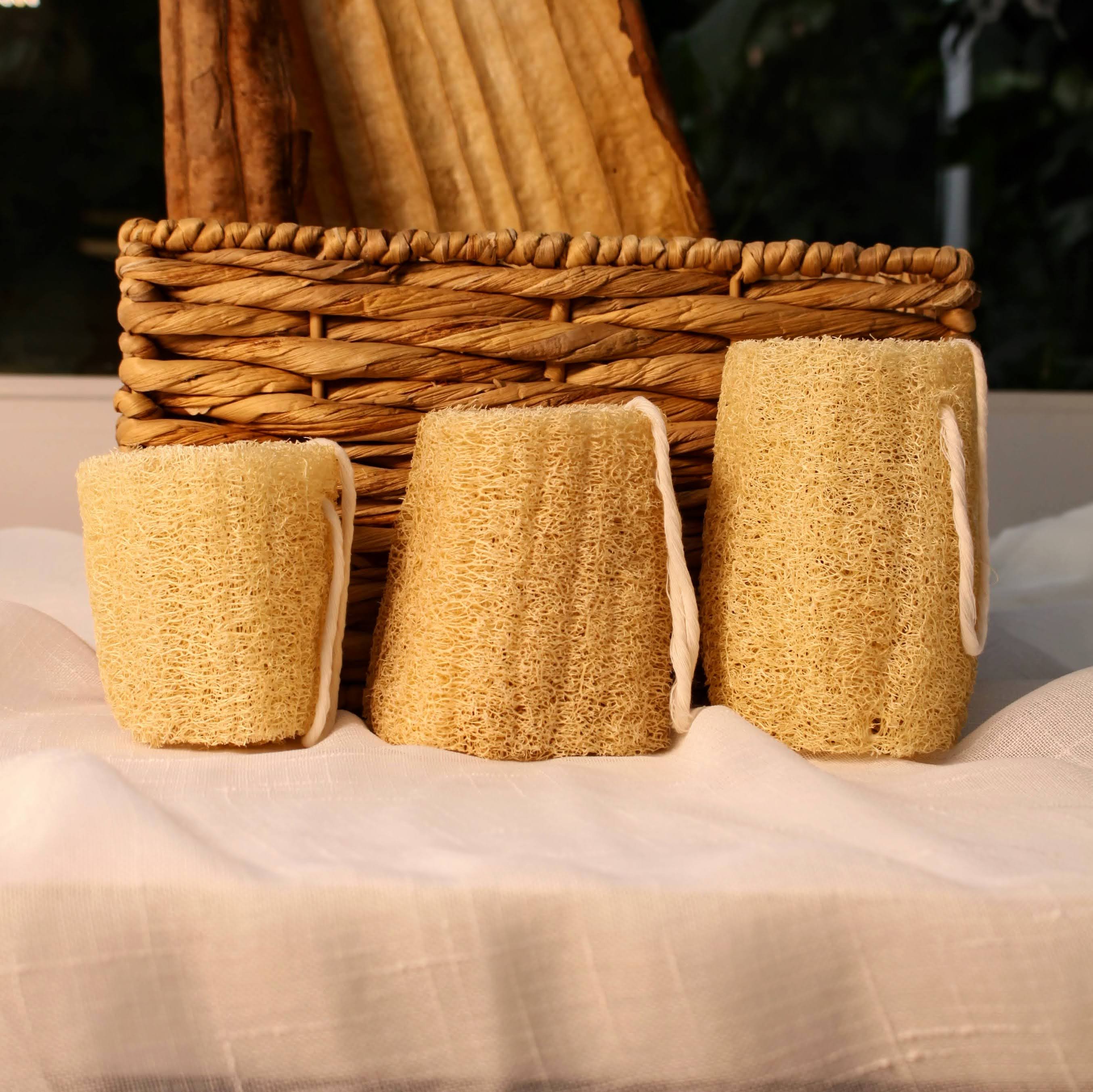 Sustainable and eco-friendly loofah (luffa) sponge exfoliator for selfcare
