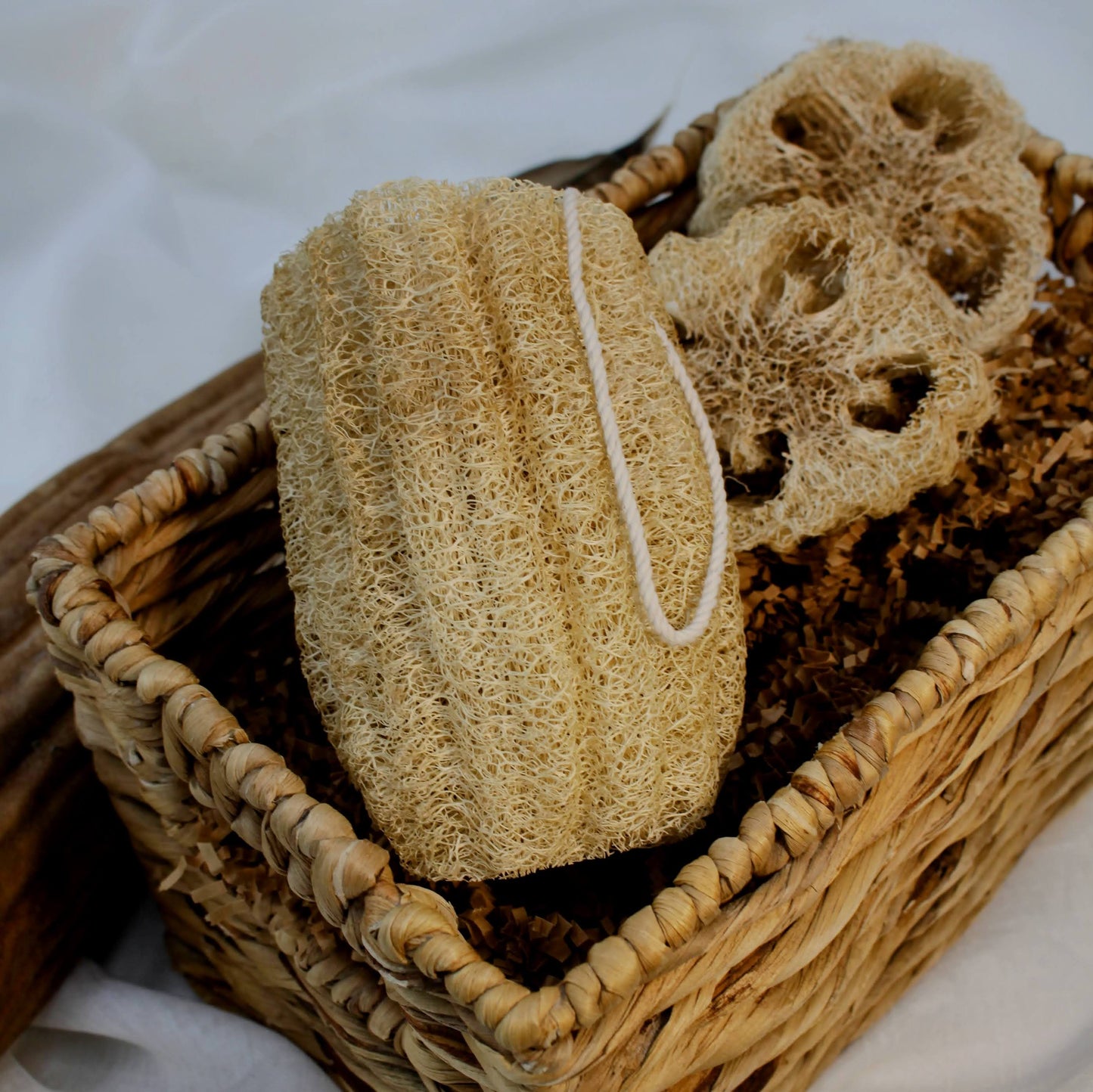 Spugne da bagno e doccia in luffa (loofah) coltivate negli USA