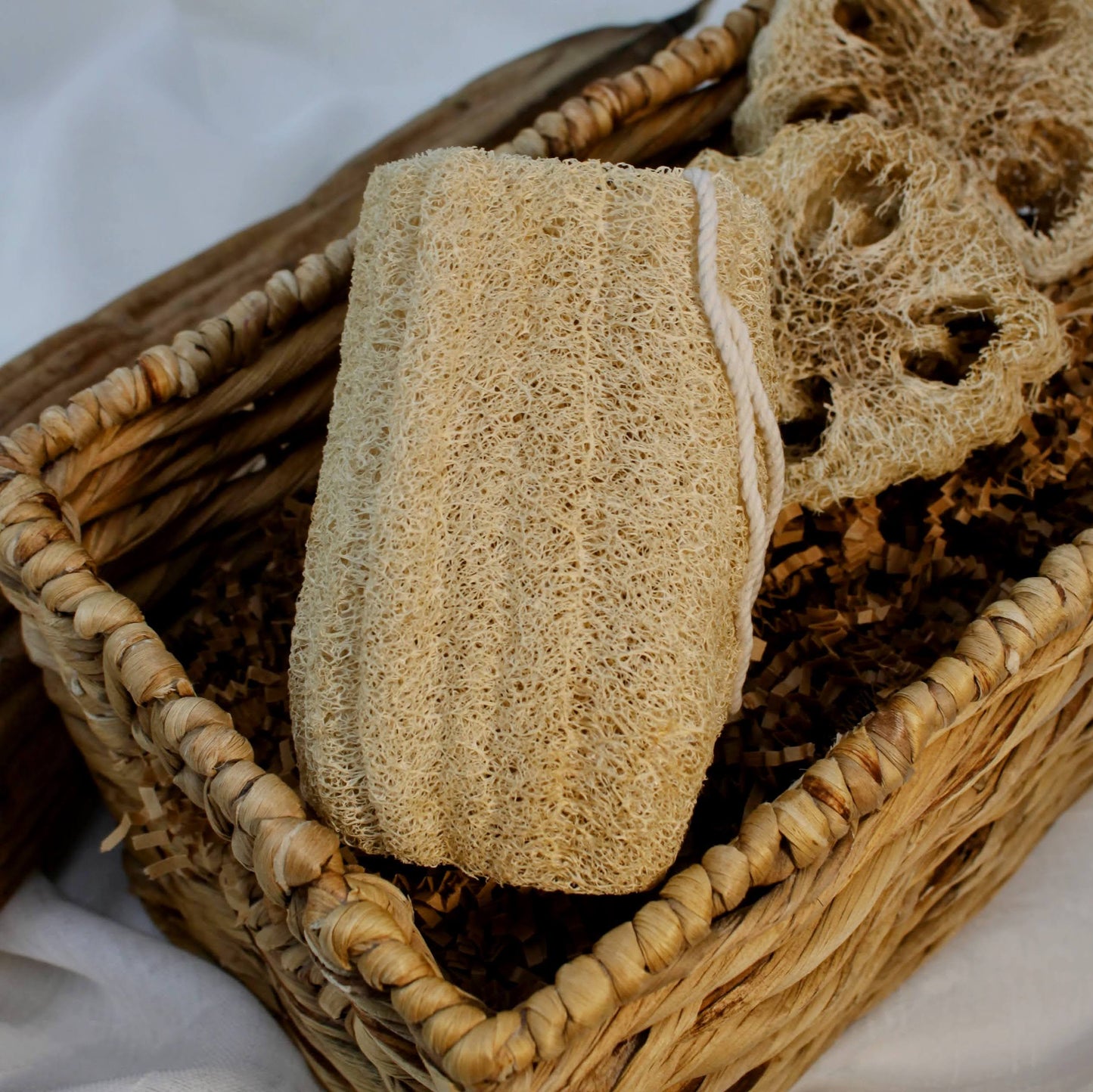 Spugne da bagno e doccia in luffa (loofah) coltivate negli USA