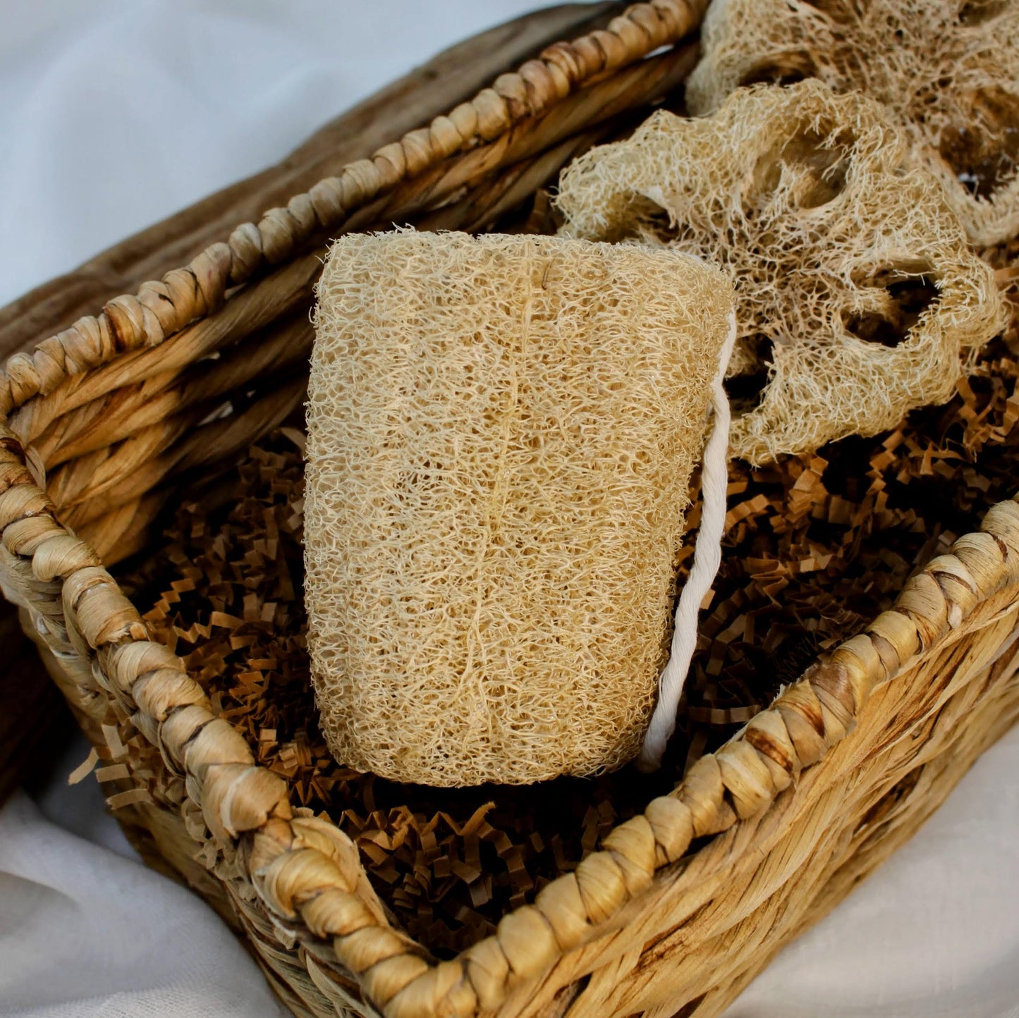 Spugne da bagno e doccia in luffa (loofah) coltivate negli USA