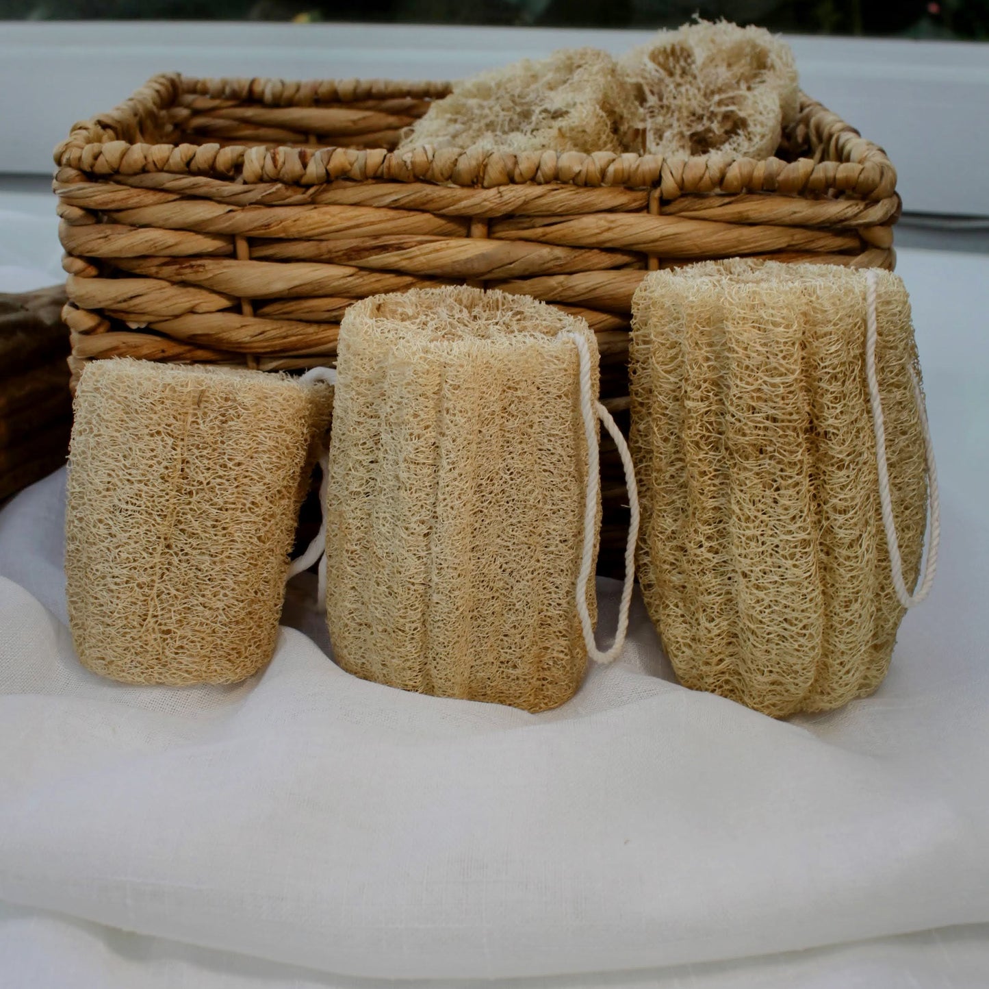 Spugne da bagno e doccia in luffa (loofah) coltivate negli USA