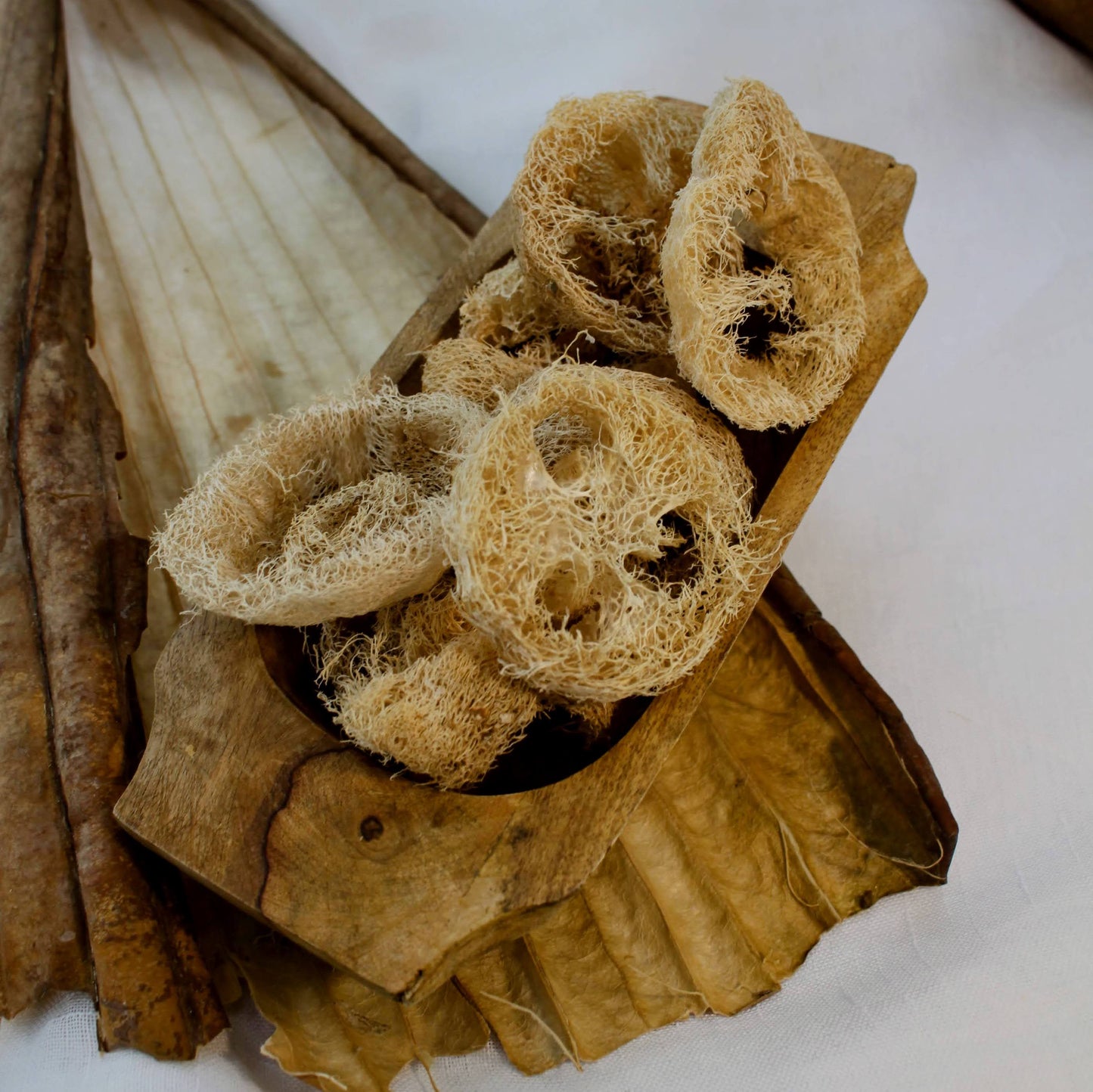 Luffa (Luffa) estremità sciolte 