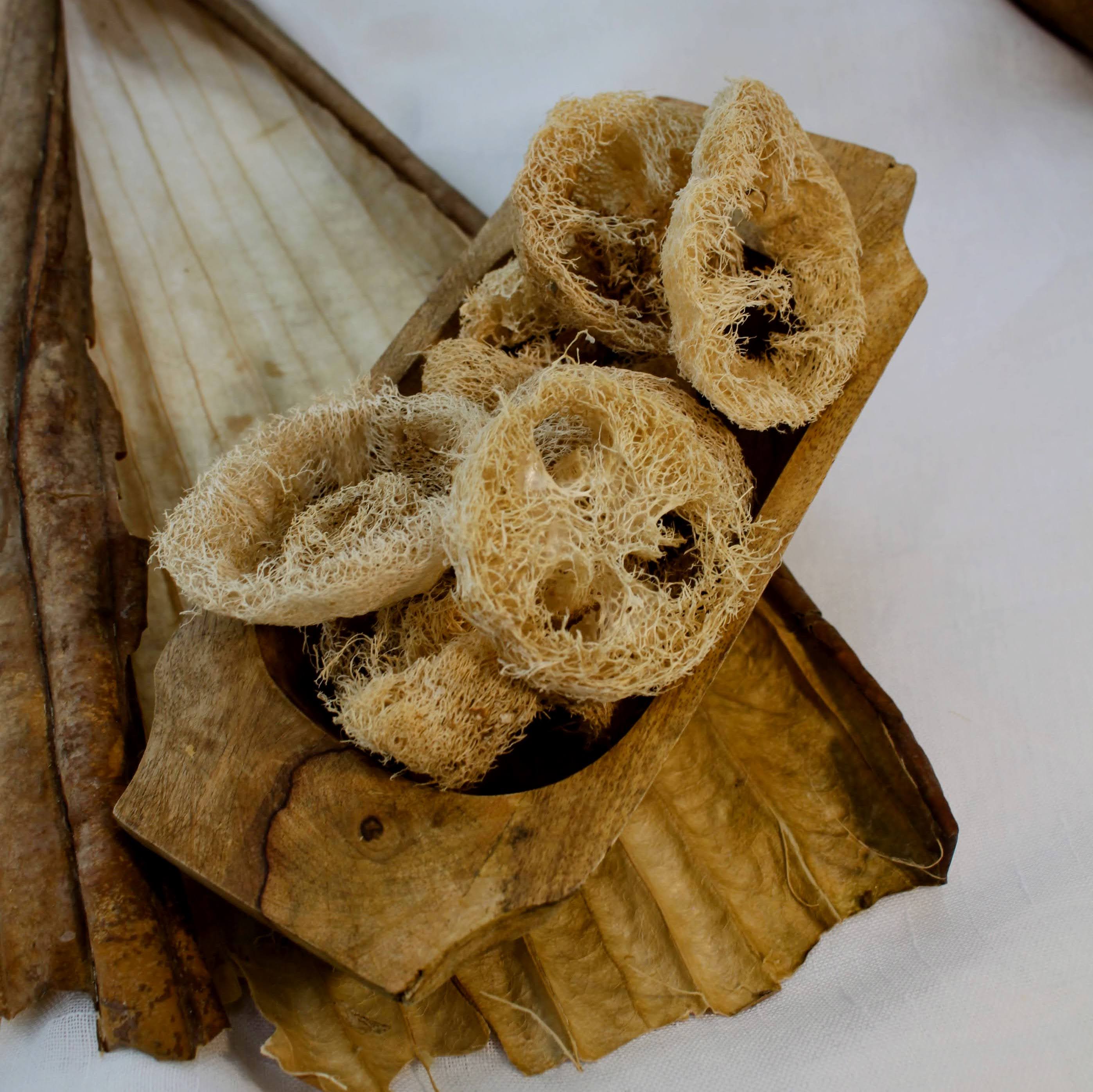 Sustainable and eco-friendly natural loofah (luffa) pieces for arts & crafts