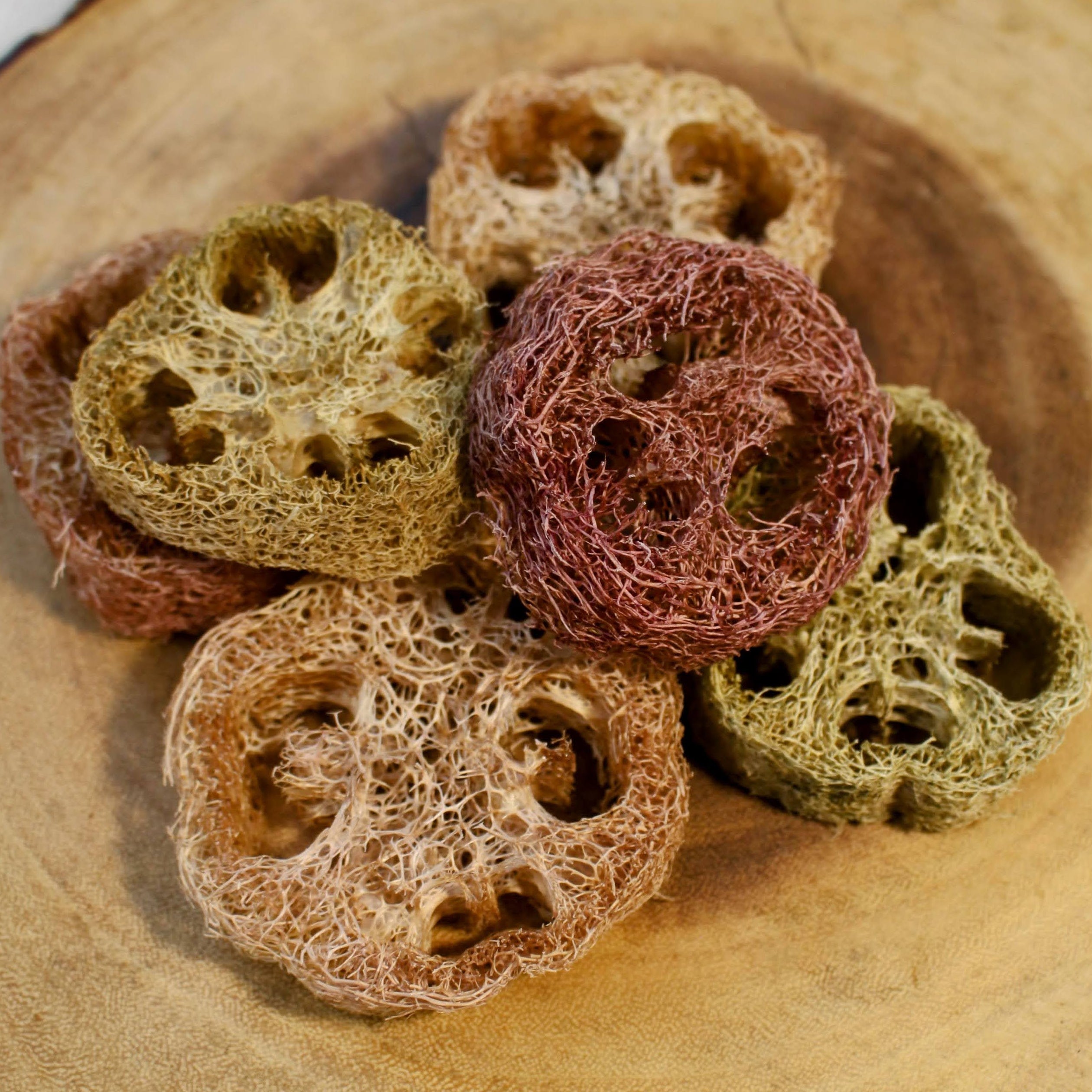Sustainable and eco-friendly natural loofah (luffa) pet dental aid made in California on a wooden surface