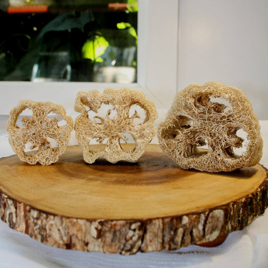 Confezione da 6 dolcetti croccanti da masticare Luffa
