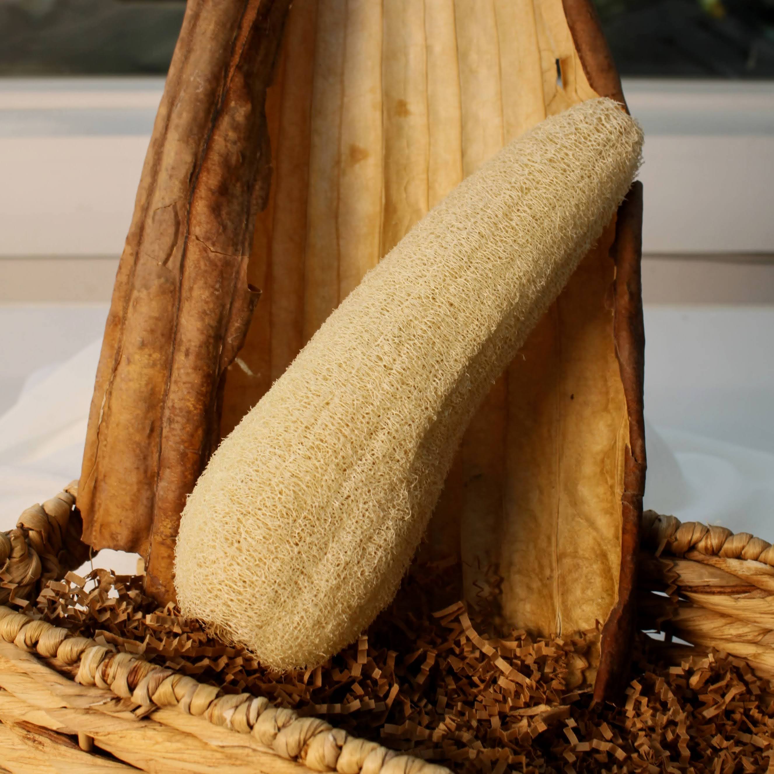 Sustainable and eco-friendly natural whole loofah (luffa) sponge for selfcare on top of a woven basket, size small