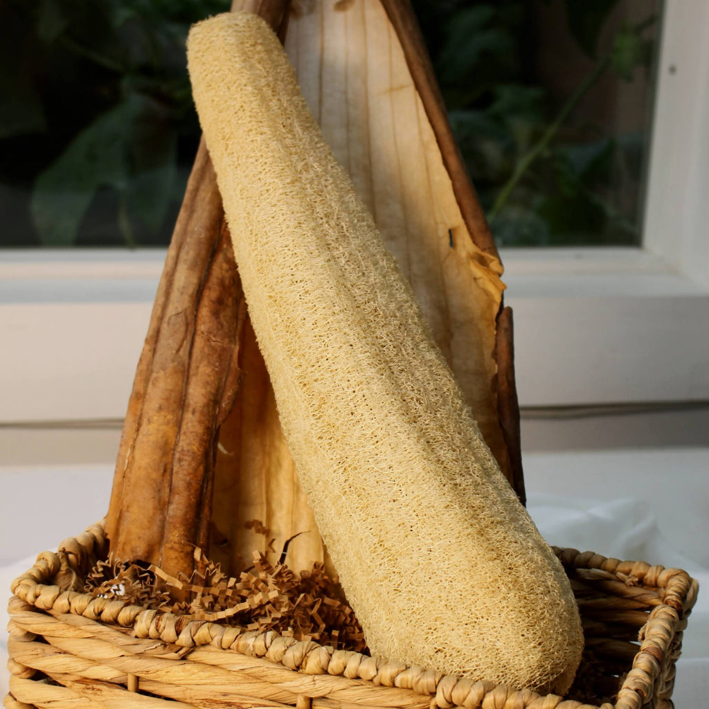 Sustainable and eco-friendly natural whole loofah (luffa) sponge for selfcare on a woven basket, size medium