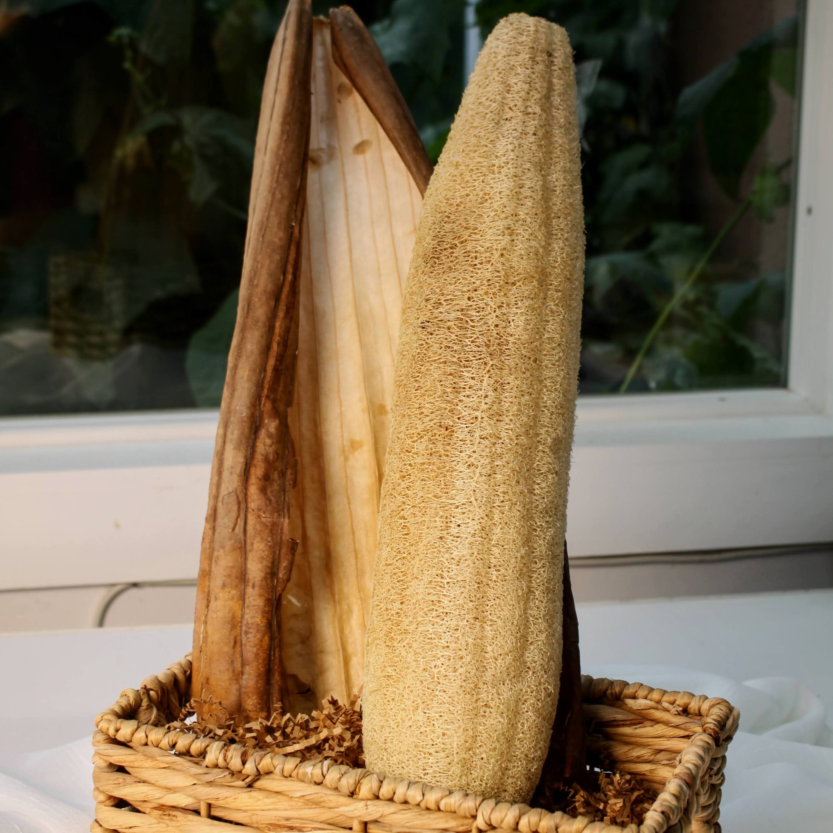 Sustainable and eco-friendly natural whole loofah (luffa) sponge for selfcare on a woven basket, size large 