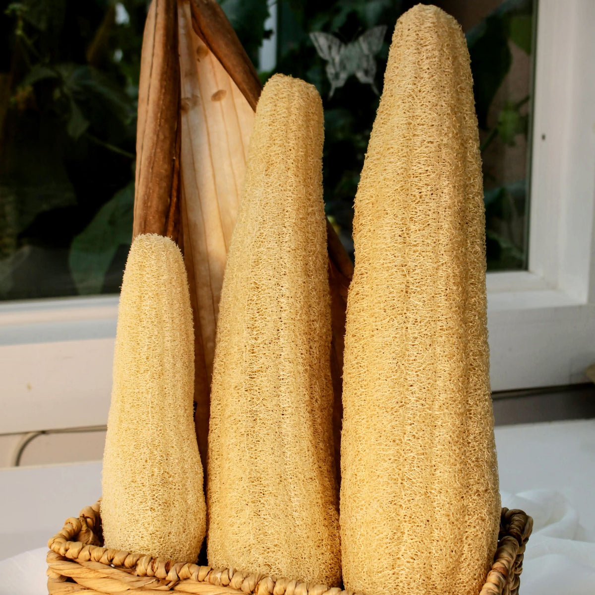 Sustainable and eco-friendly natural whole loofah (luffa) sponges for selfcare on a wooden surface in a woven basket 