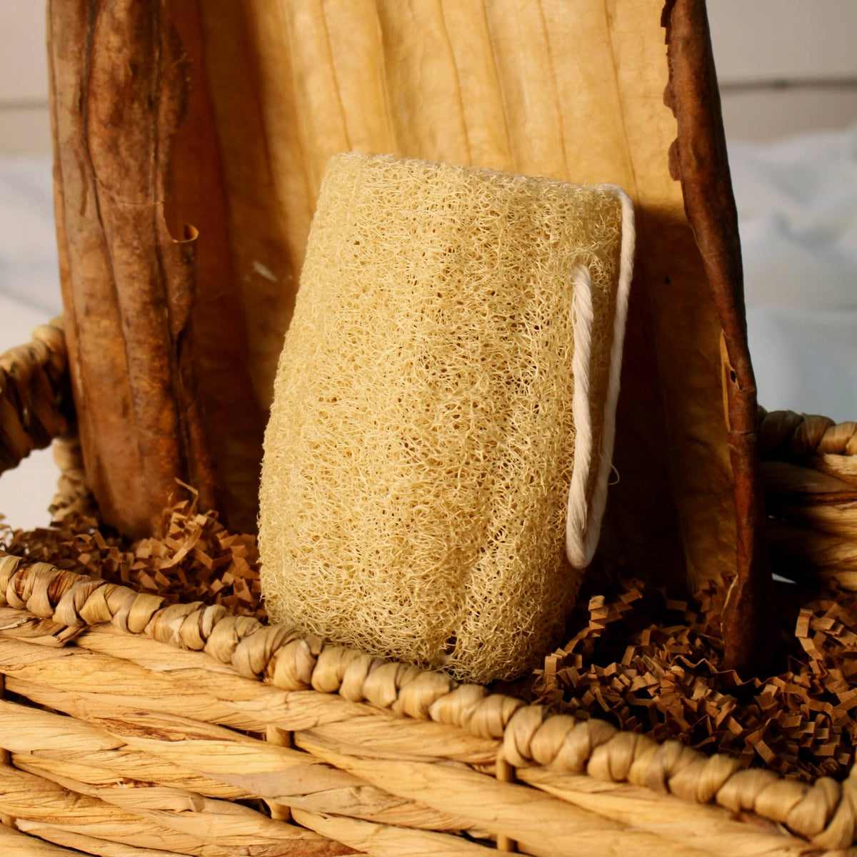 Sustainable and eco-friendly loofah (luffa) exfoliator sponge grown and made in California for selfcare