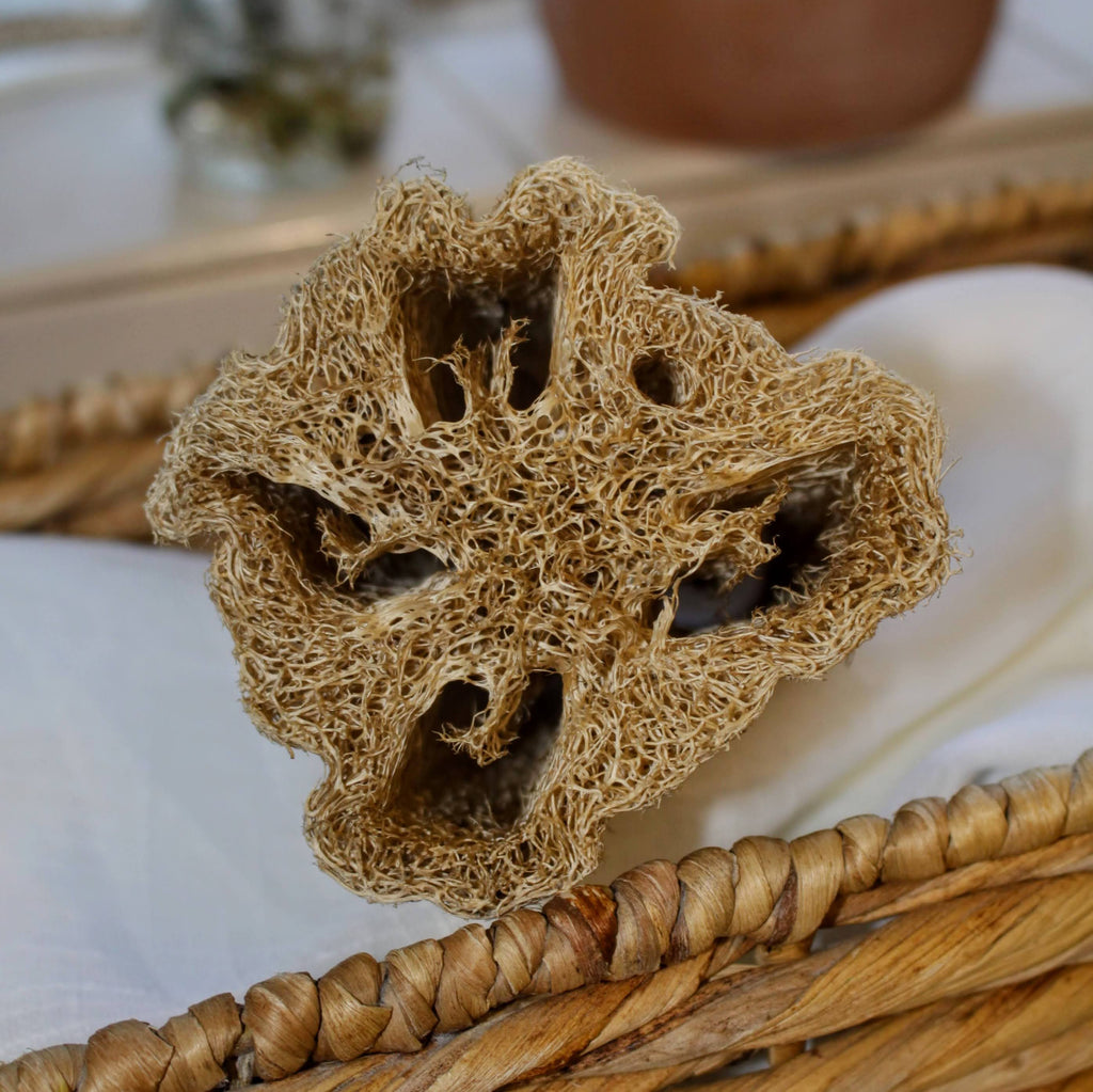 Sustainable and eco-friendly natural loofah (luffa) sponge with a string on a woven container