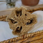 Sustainable and eco-friendly natural loofah (luffa) sponge with a string on a woven container