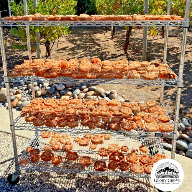 Drying process of the sustainable and eco-friendly natural loofah (luffa) pet dental aid made in California on a metal rack