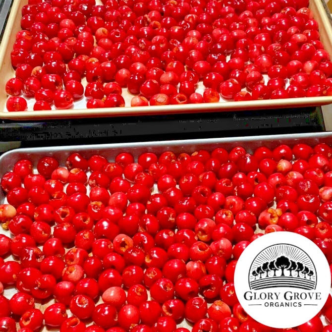 Trays of California grown organic red cherries with Glory Grove Organics logo.