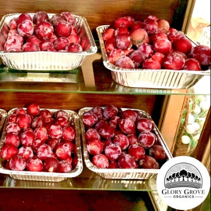 Trays of California grown organic red plums on a shelf with Glory Grove Organics logo.