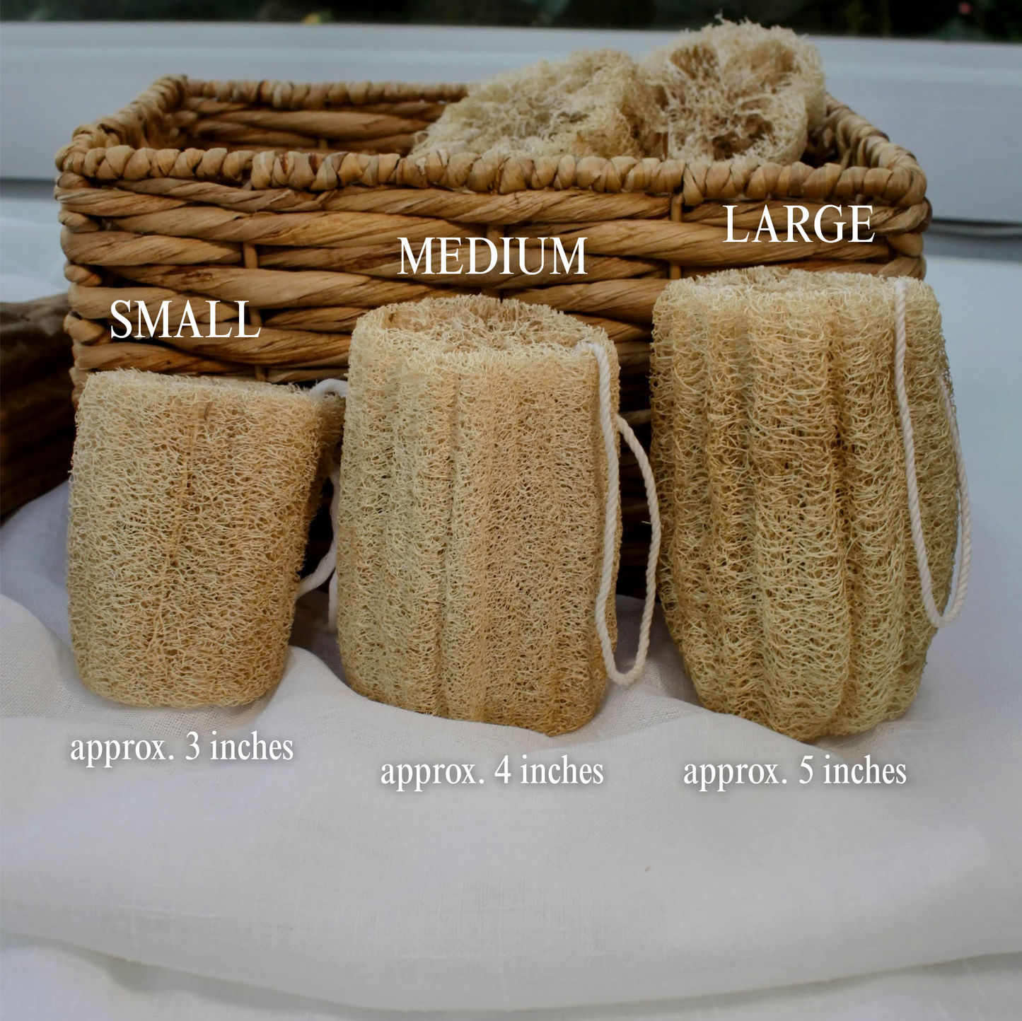 Spugne da bagno e doccia in luffa (loofah) coltivate negli USA