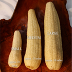 Sustainable and eco-friendly natural whole loofah (luffa) sponges for selfcare labeled Small, Medium, and Large on a wooden surface.